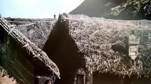 79年入伍，我拒绝和不识字的她谈对象，后来才知她嫁给了我们局长