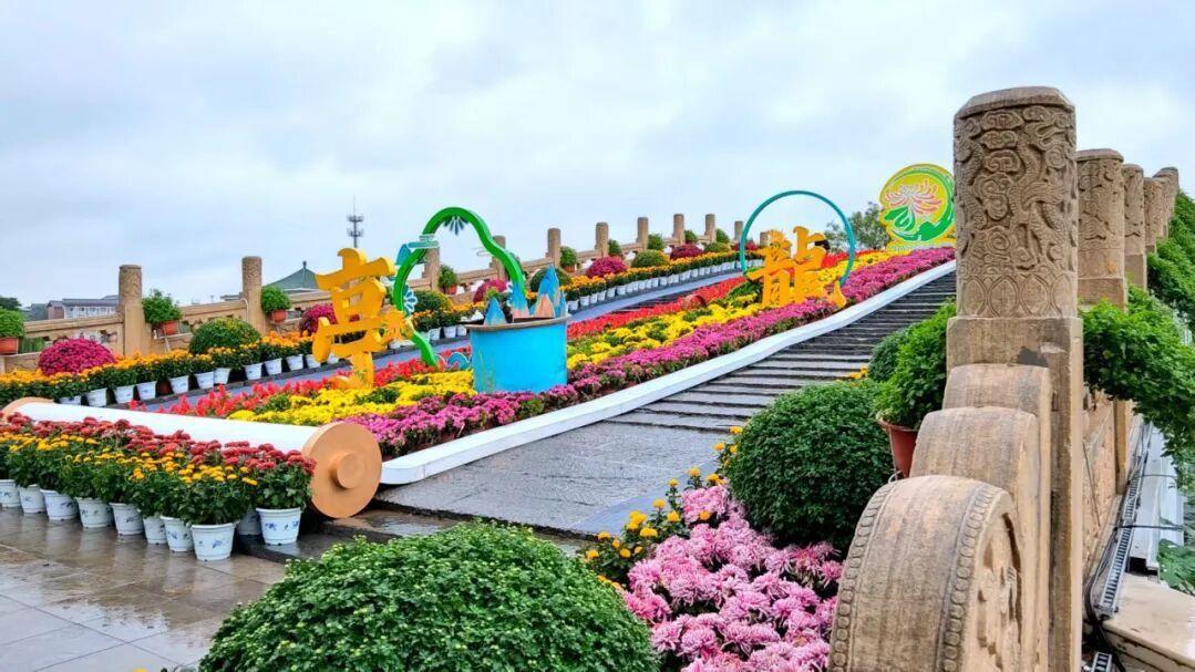 待到重阳日，还来开封赏菊花