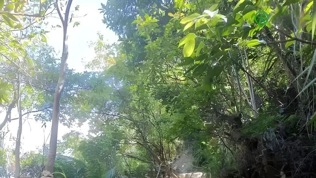 七律·寒塘野径故园心