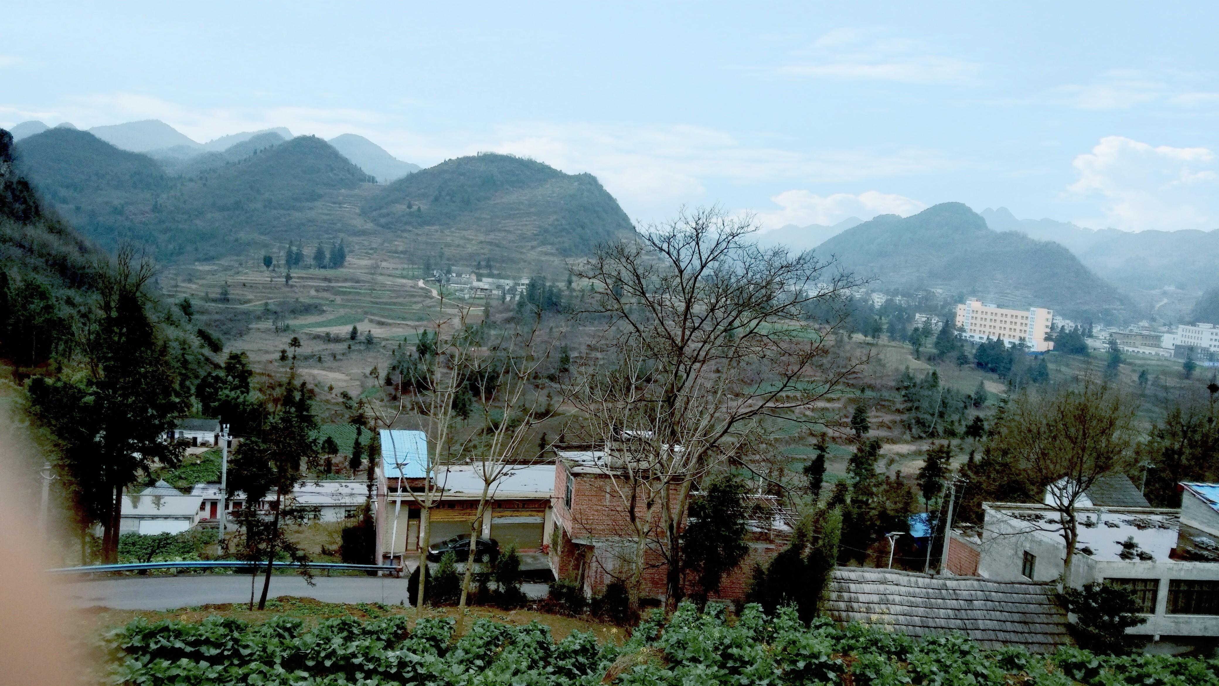 被除名者永世不得踏足祖坟山
