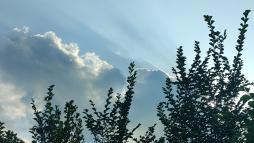 劳动合同解除有几种情况