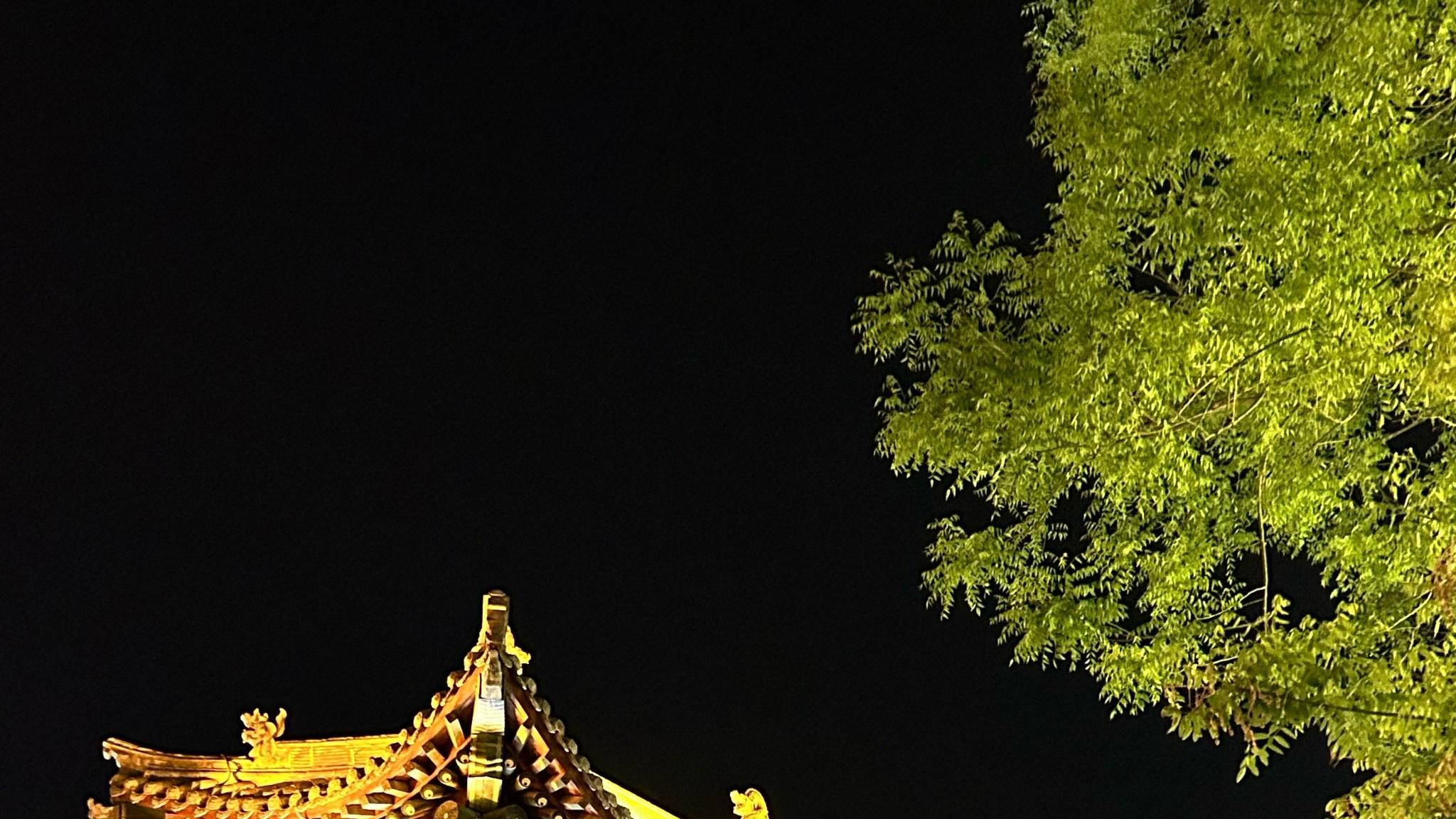 “烟火裹着古意来”｜忻州古城旅游攻略：一座城，活成了山西北部的“生活博物馆”