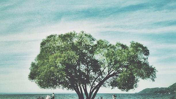 2025非常积极向上的正能量语录，精挑细选，越读越优秀！