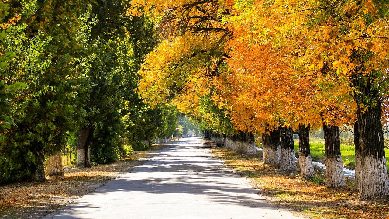 深秋渐凉，你的浴室还缺一件「温暖神器」！