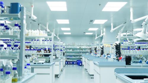 2025年孔凤春定制马齿苋原料获得【了不起的中国原料】——中国王牌成分奖！