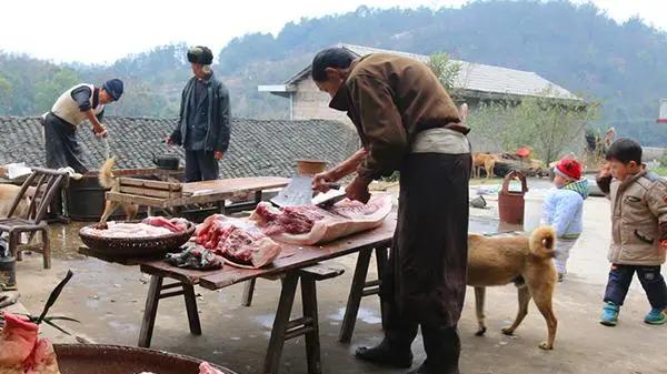 童年故事：杀年猪