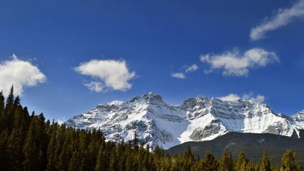 都说消费降级，你们春节报四万旅行团的手速是租来的？