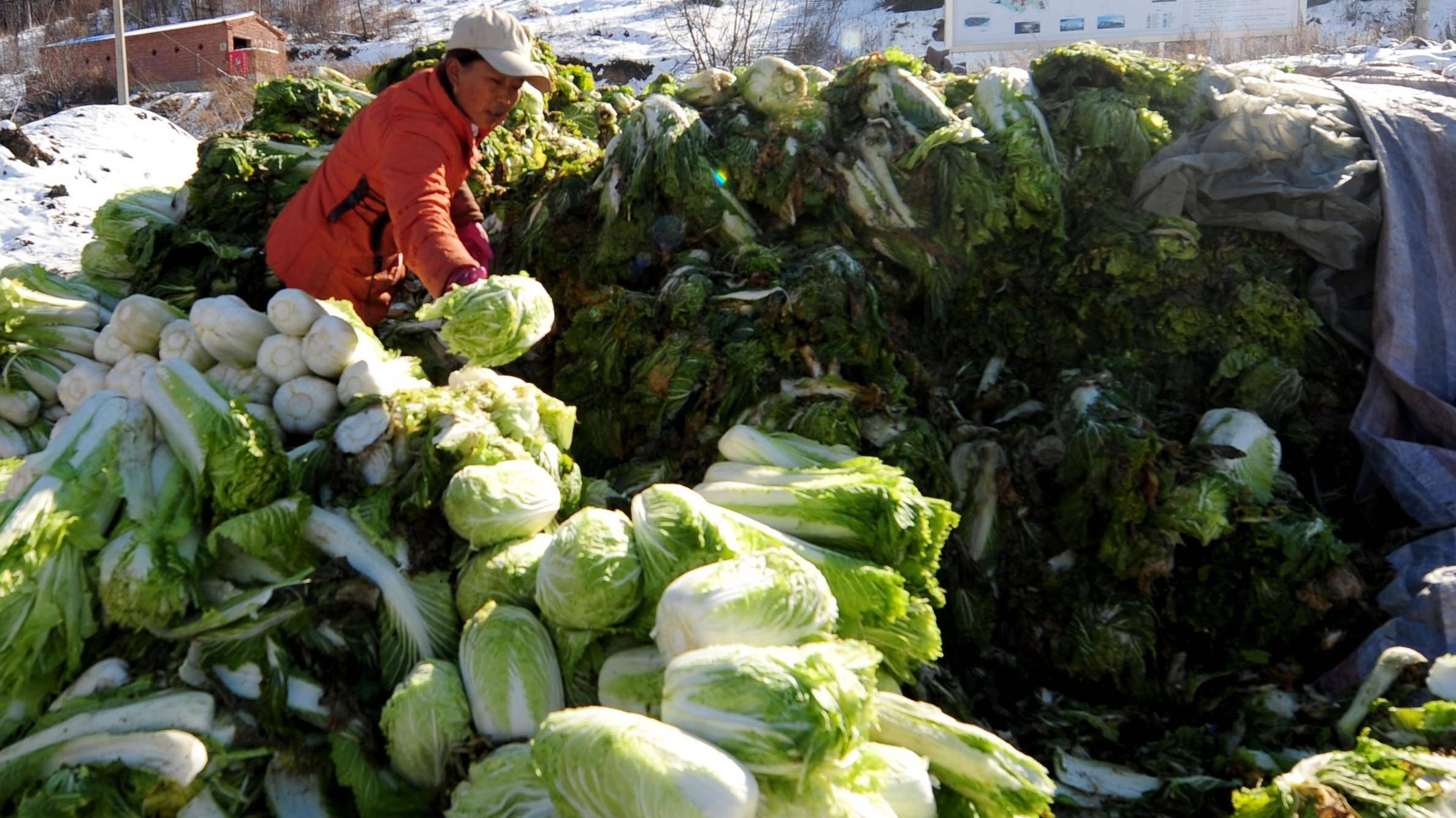 “秋收冬藏”秋风起，丰收至；冬雪落，暖意存