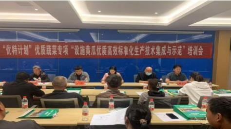 周口市川汇区蔬菜所：观摩+培训双驱动 赋能设施黄瓜产业提质增效
