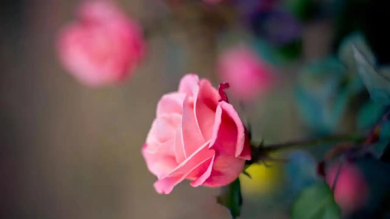 别因一件事情，就对人生失望