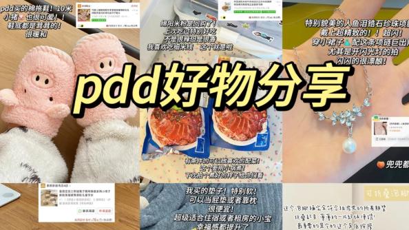 拼夕夕，穷鬼天堂！奔着便宜入手的小玩意，收到后：用上瘾了！