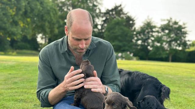 威廉王子怀抱幼犬庆43岁生日，王妃自称“爱你的凯特”