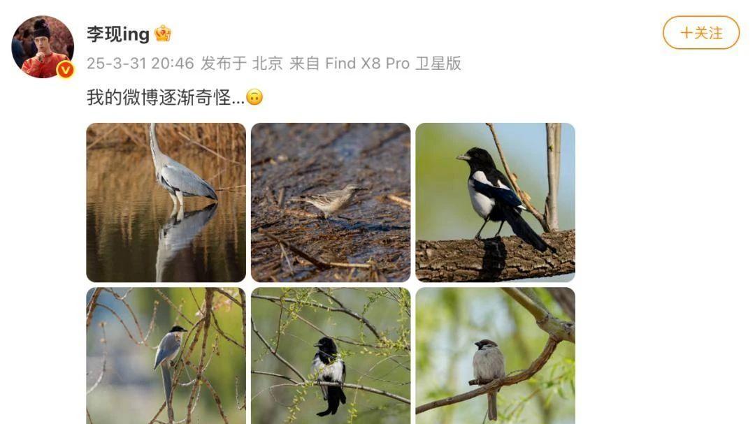 李现跨界“打鸟”，获生态环境部认可