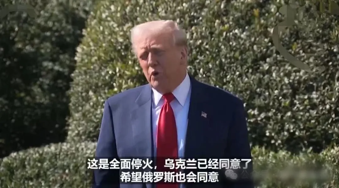 美乌达成临时停火共识、乌军多处战场告捷