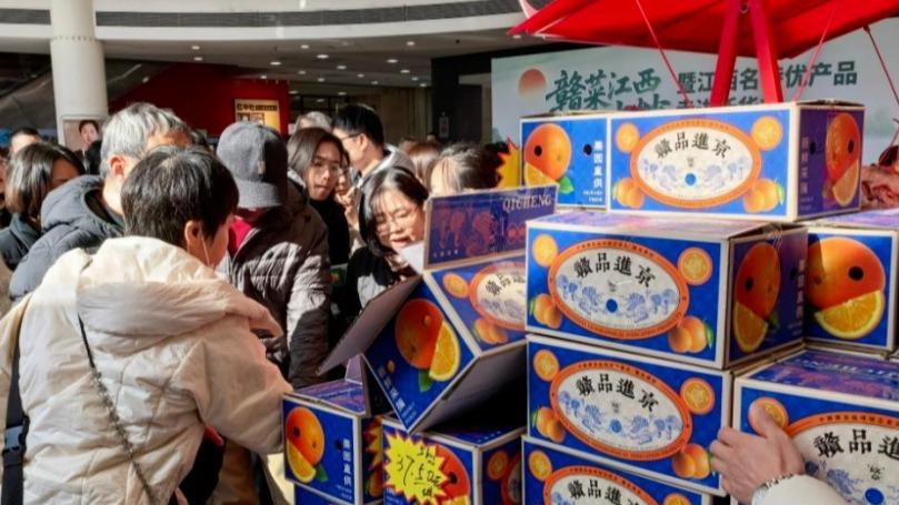 “麒麟”入京记丨纹样里的赣品