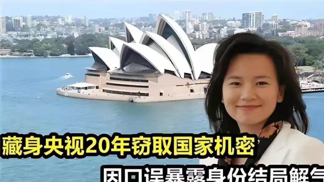 惊天叛国：成蕾狱中信，撕开“香蕉人”伪装？