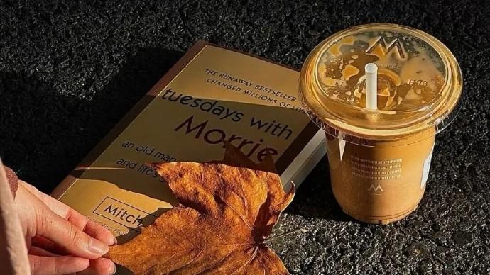 写给自己的很惊艳的高级短句，颜值超高，句句说的漂亮！