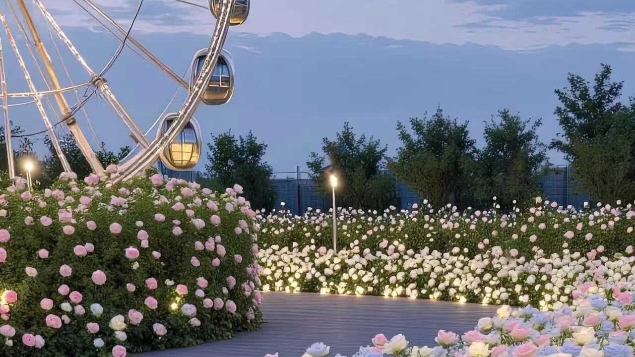 夏日景色玫瑰花的海洋