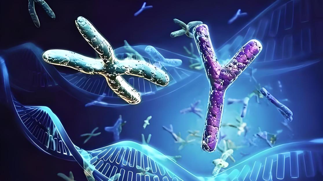 37万亿细胞之上，还有谁在主宰你的生命？中医的“气”正在被科学破译！