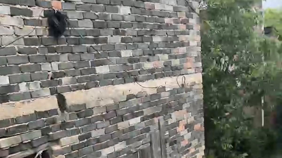 【土窑囚禁｜DNA寻亲者揭开亲姐被拐血泪史：被囚禁的疯女人与消失的婴儿】