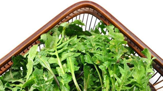 每天吃荠菜，三袋玉米的大伯感动了父亲