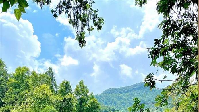 省钱清单｜4个景美人少的小众天花板