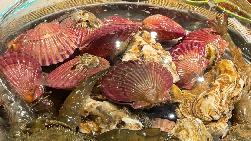 威海下雪了！这口威海味配上雪景简直绝啦！