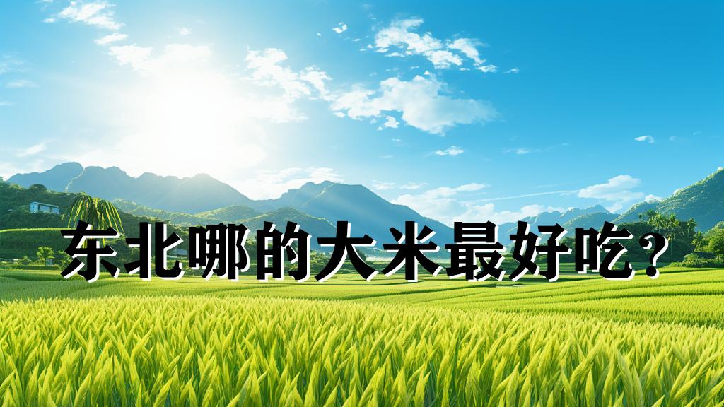 东北哪的大米最好吃？
