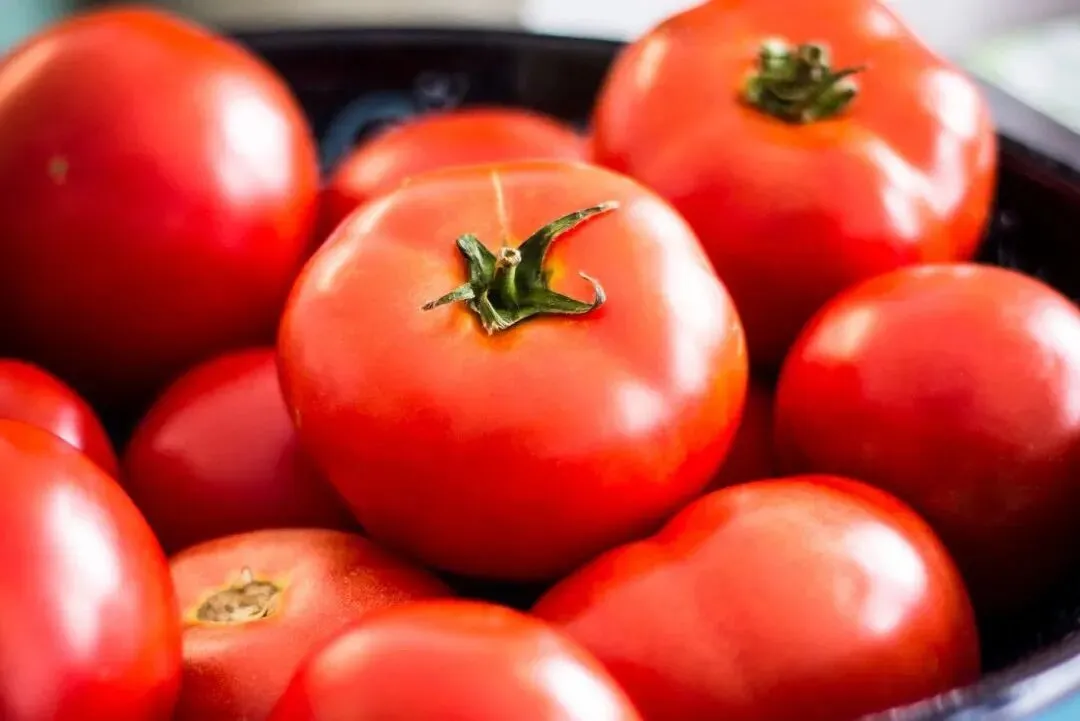 为什么现在的番茄，再也吃不出小时候的味道了？