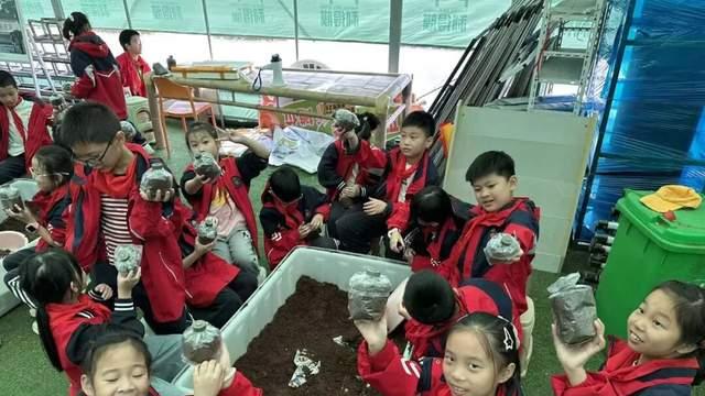 绍兴市柯桥区浙光小学镇南路校区秋季研学活动之一