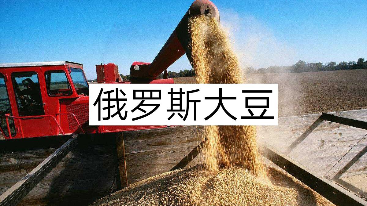 与其被美国勒索，不如自力更生：中国转基因大豆已开始规模化种植