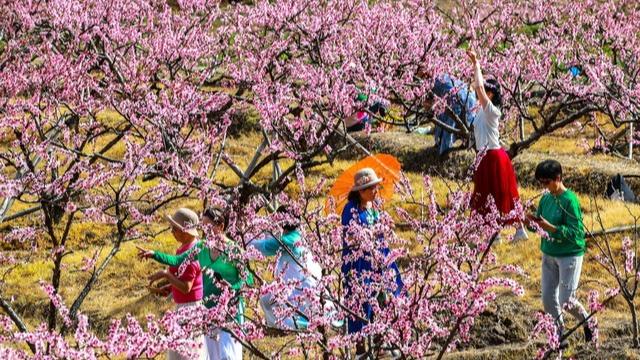明日3月8号寒潮冷空气返场，大雪暴雪降雨已确认，今春回暖晚吗？