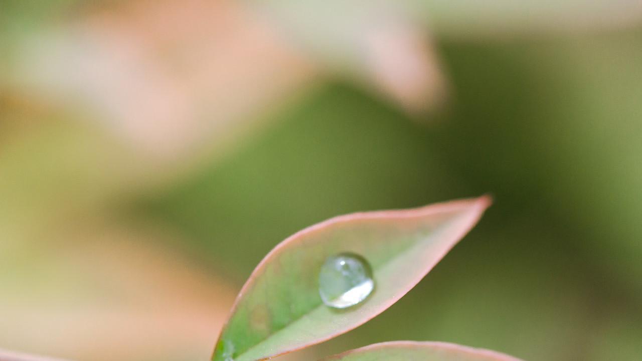 自律生活：让你悄悄变好的20个微习惯（建议收藏并照着做）