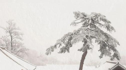 联名 · 孙郡 X 艺林堂 |  雪覆山寺，瓷传雅韵