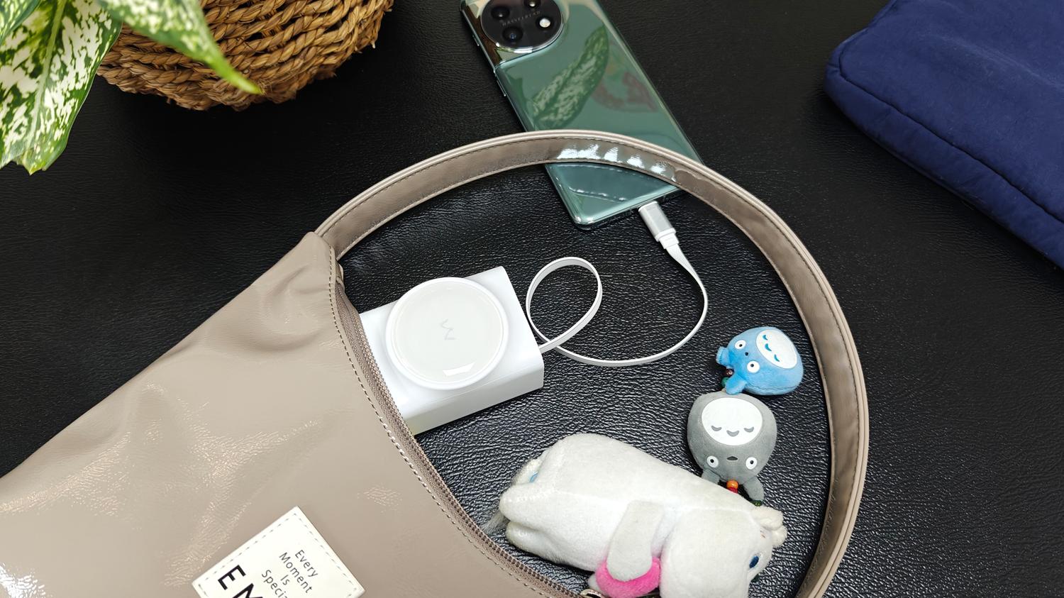 自带70cm线缆，支持双向65W快充的爱沃可（iWALK）拉拉宝