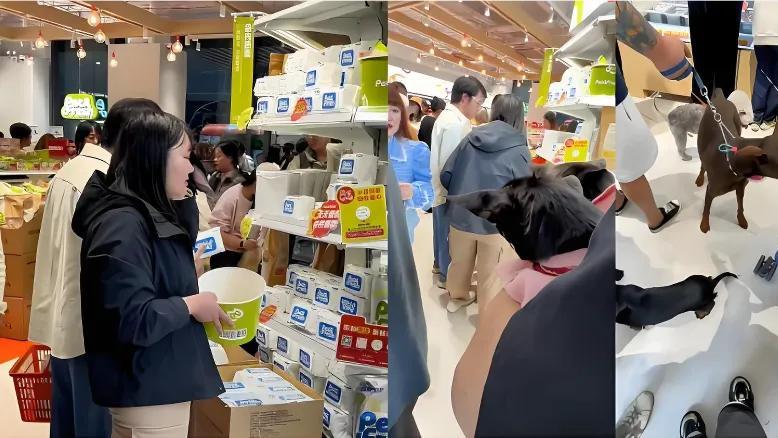 盒马创始人候毅创办的新项目被爆大量停业