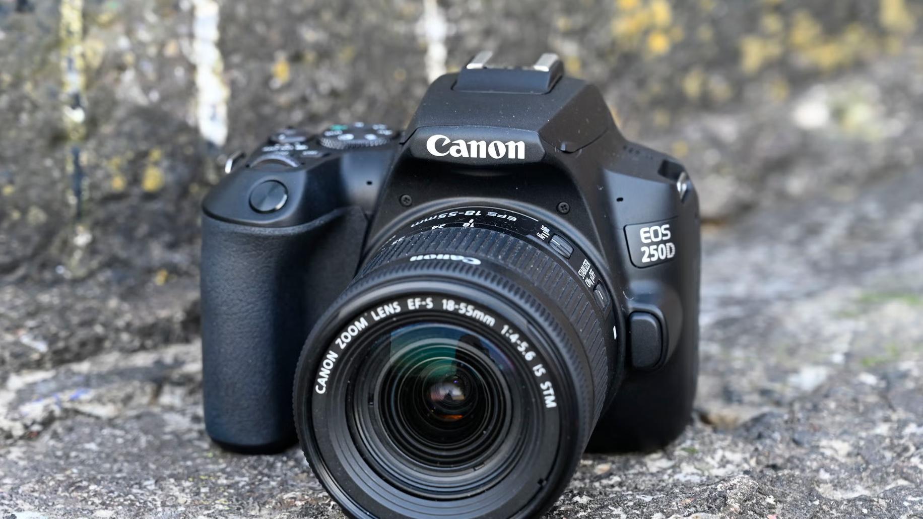 摄影新手看过来，单反相机怎么选，2025年最佳推荐来了！