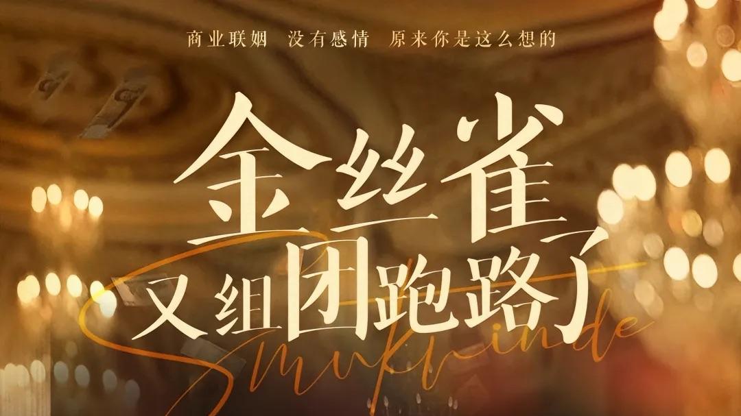 短剧《金丝雀又组团跑路了》短剧免费观看：全集金丝雀又组团跑路了钓婿计划遇真爱，这场爱情闹剧太上头！