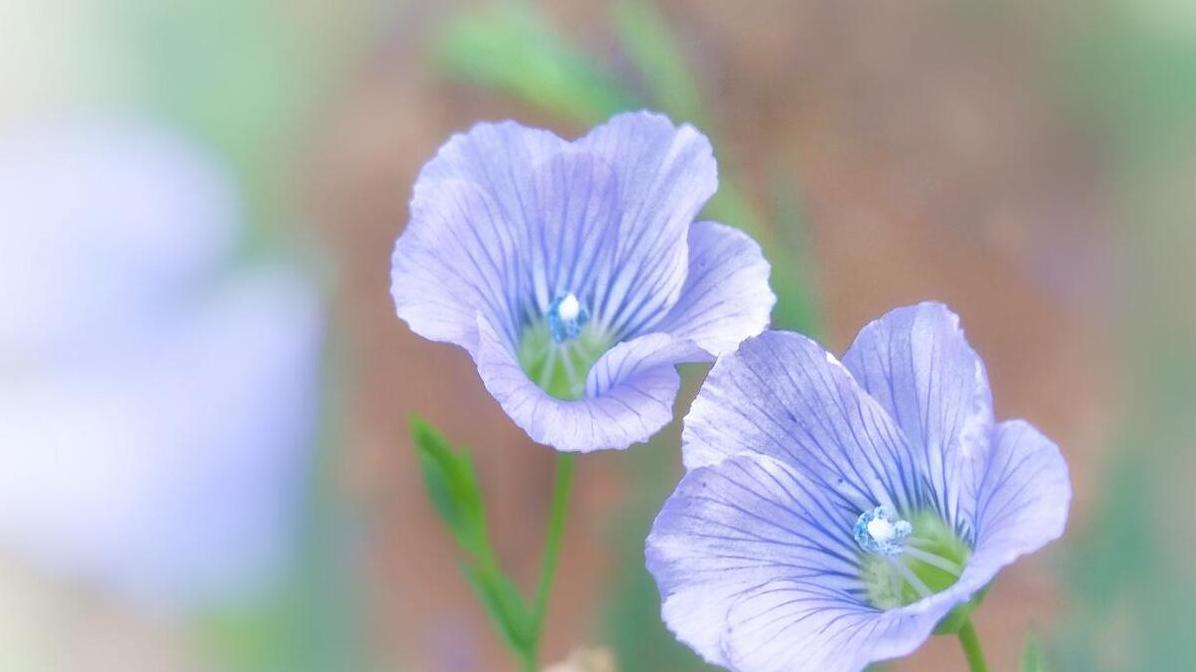 细节不会撒谎，男人不爱你的信号全藏在眼神里
