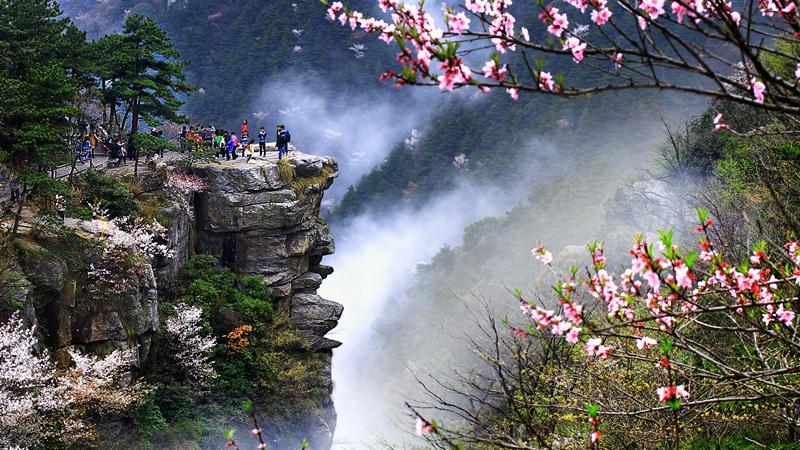 春季假期：赏花海，邂逅文化之美