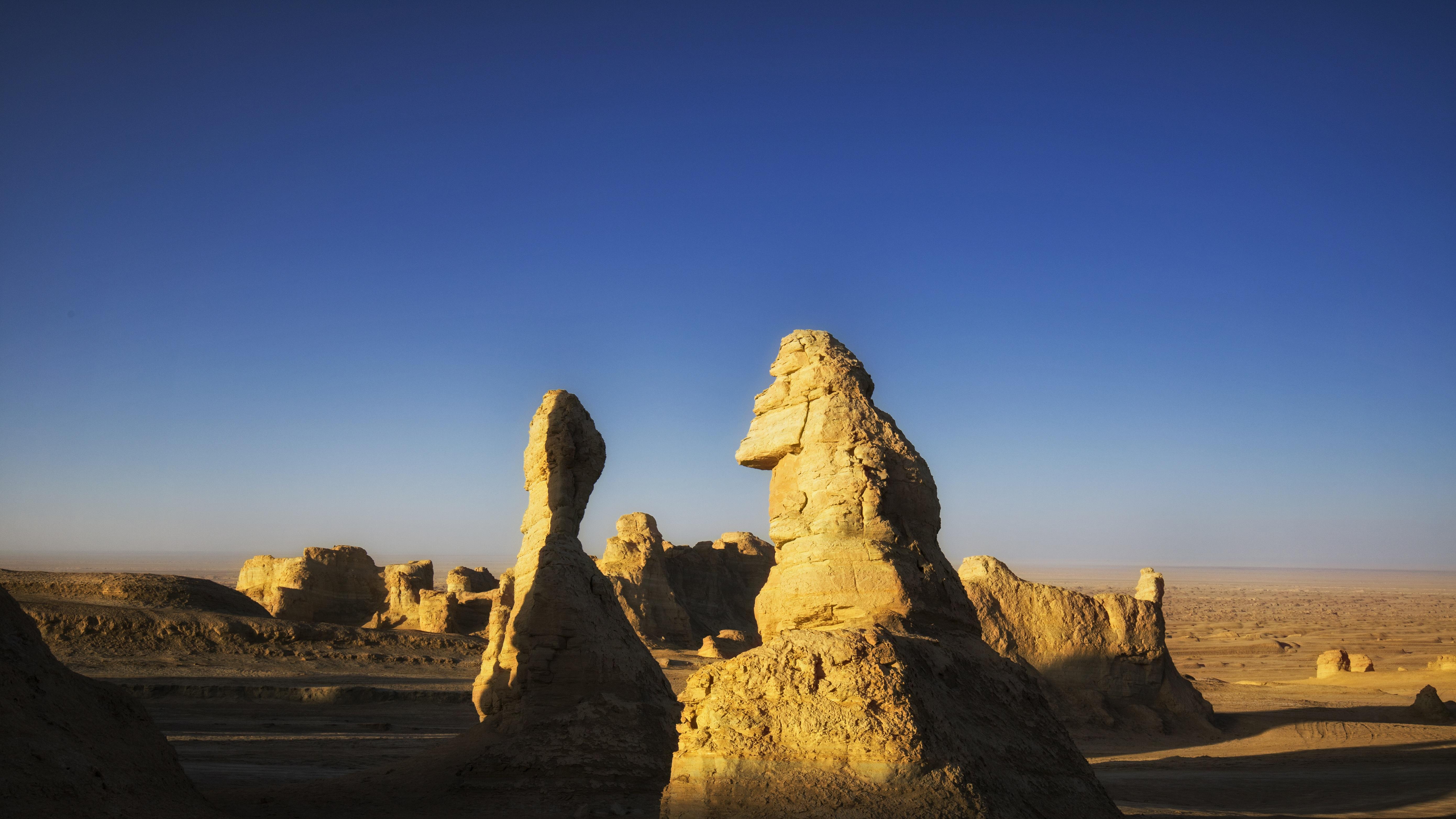 食物银行，为什么让深圳更温柔？