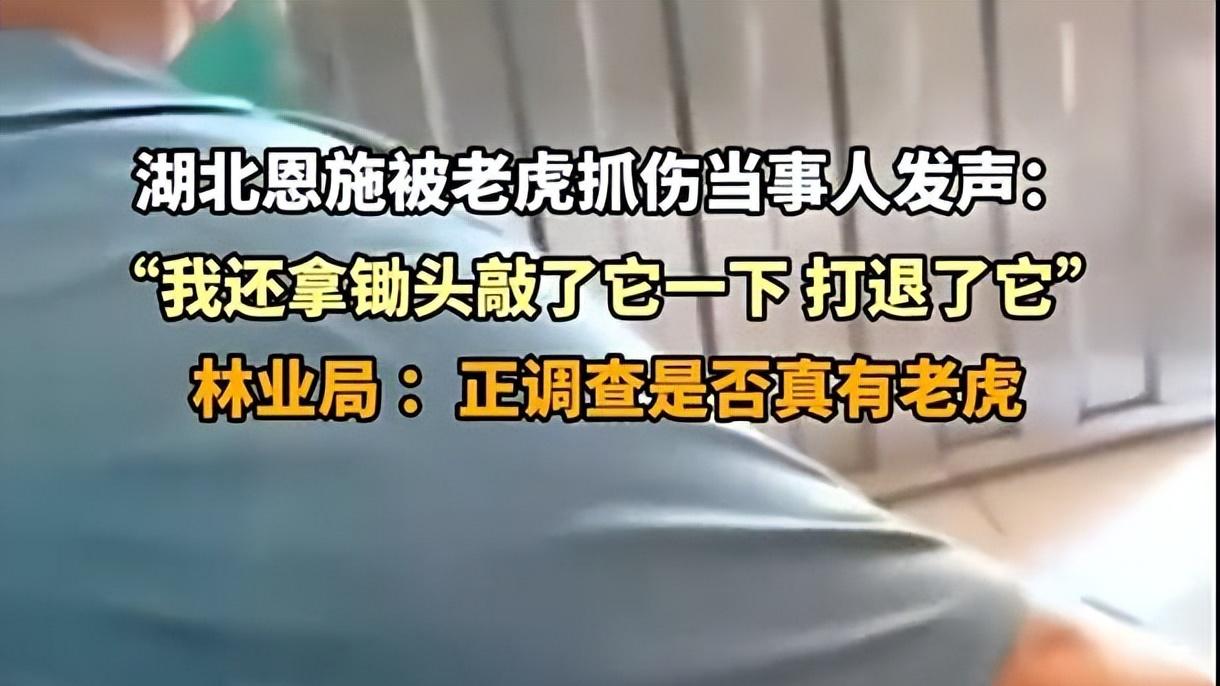 湖北一农民自称遭老虎攻击，难道绝迹10多年的华南虎“复活”了？