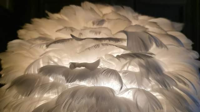 从拍景到人像 三星Galaxy S25 Ultra样张表现令人惊叹