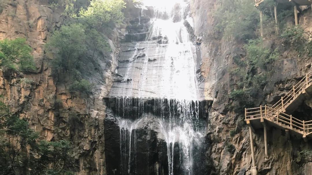 山西历山舜王坪旅游全攻略：探秘华北亚高山草甸的生态奇观