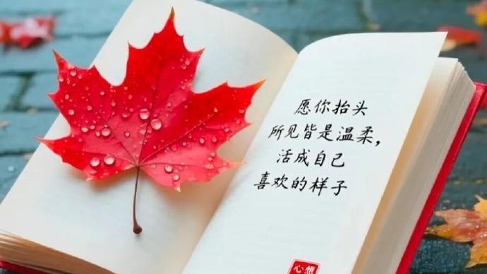 十月发朋友圈的人生智慧说说，句句经典，引人深思！