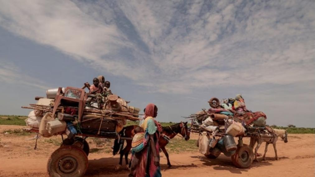 慧眸识天下20251122