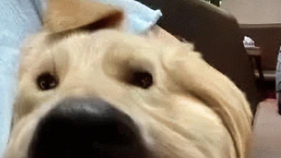 《成家》治愈恐婚焦虑 三谋用策略世界安放自由灵魂