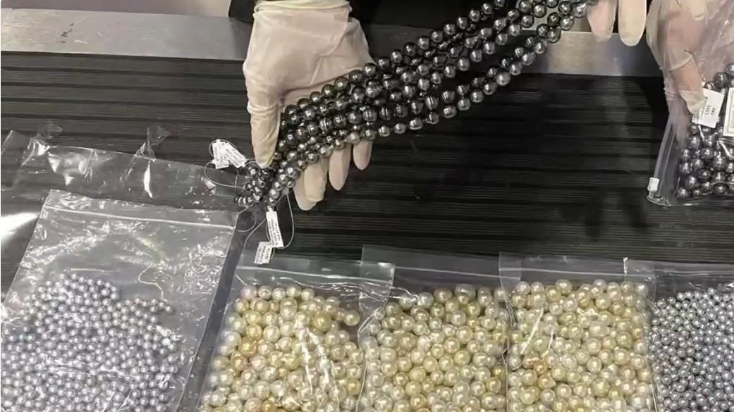 海关律师、走私辩护律师邵丹：查获走私珍珠