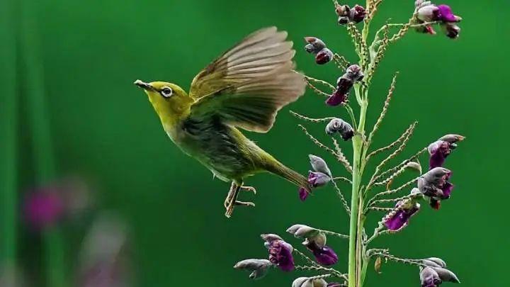 杜晓梦 | 官方通报VS网络传言：罗某宇坠楼事件真相浮出水面