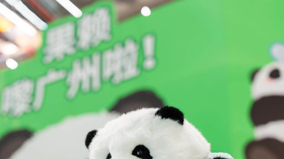 就在东方宝泰，限时1个月，实探「RUA RUA PANDA熊猫果赖华南首展」！